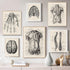 Human Anatomy Artwork Canvas Print